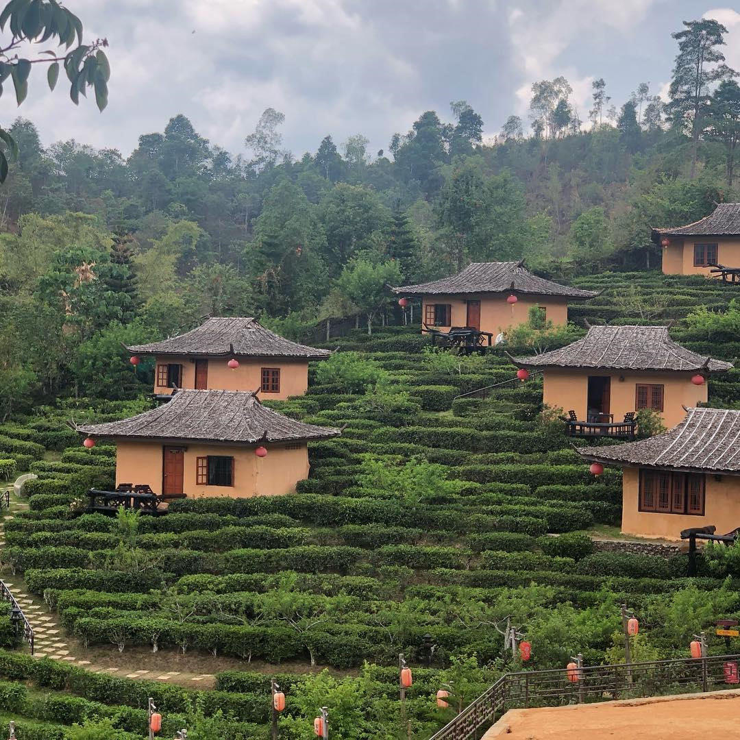 'Phuong Hoang co tran' dep ngo ngang giua long Thai Lan hinh anh 6