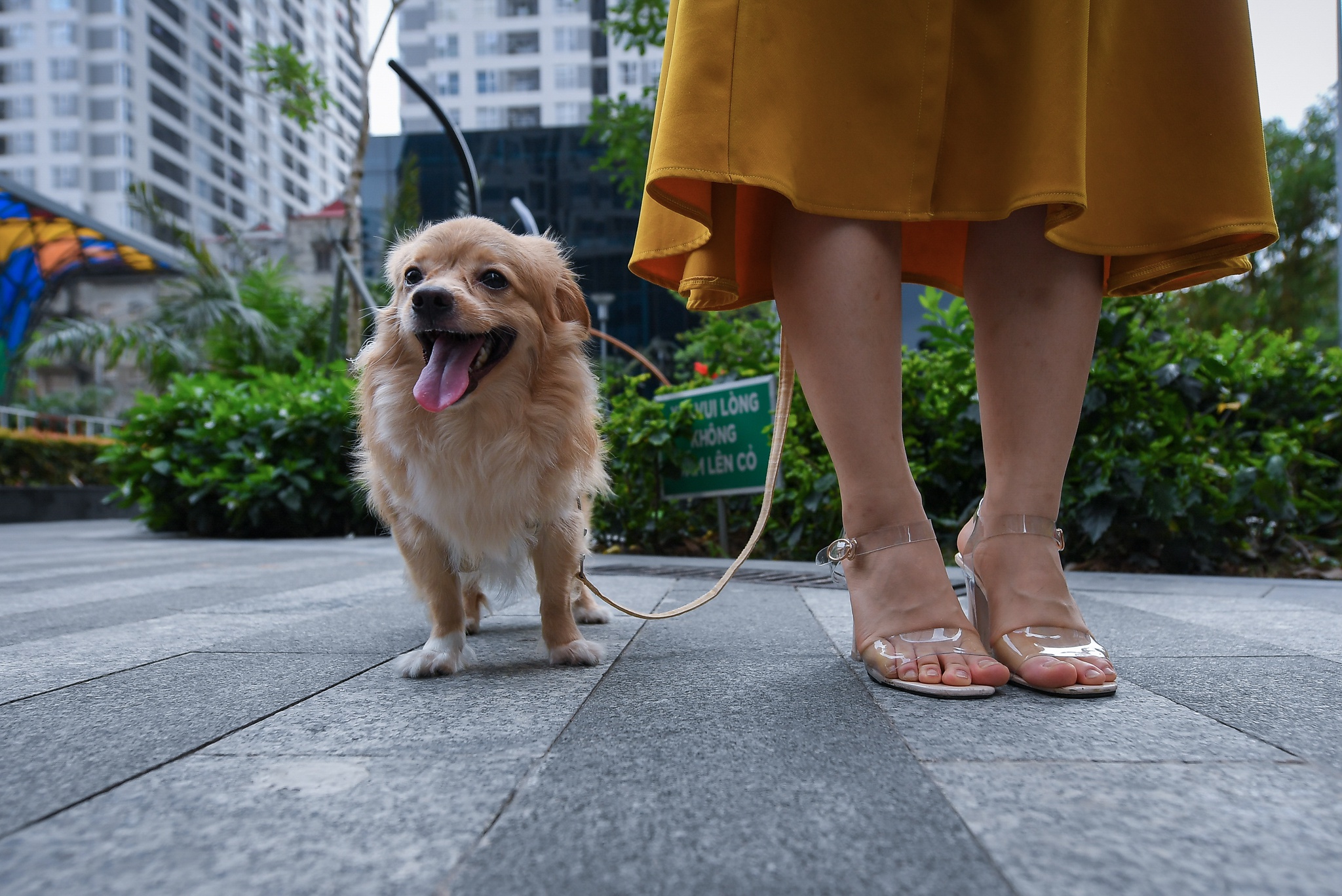 Hot girl mua con so khong ai yeu vi qua manh me hinh anh 32 32_hot_girl_mua_con_zing34.jpg