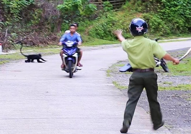 vooc gay trang tan cong nguoi anh 1