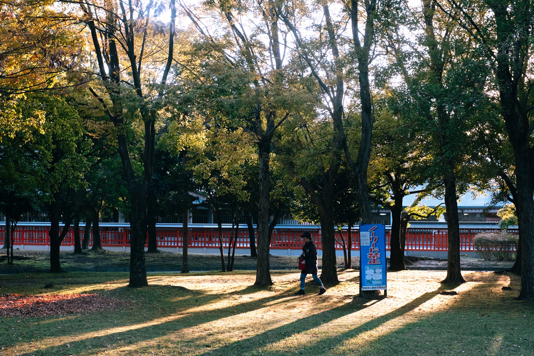 Nhat Ban - dat nuoc cua nhung ke co don hinh anh 30