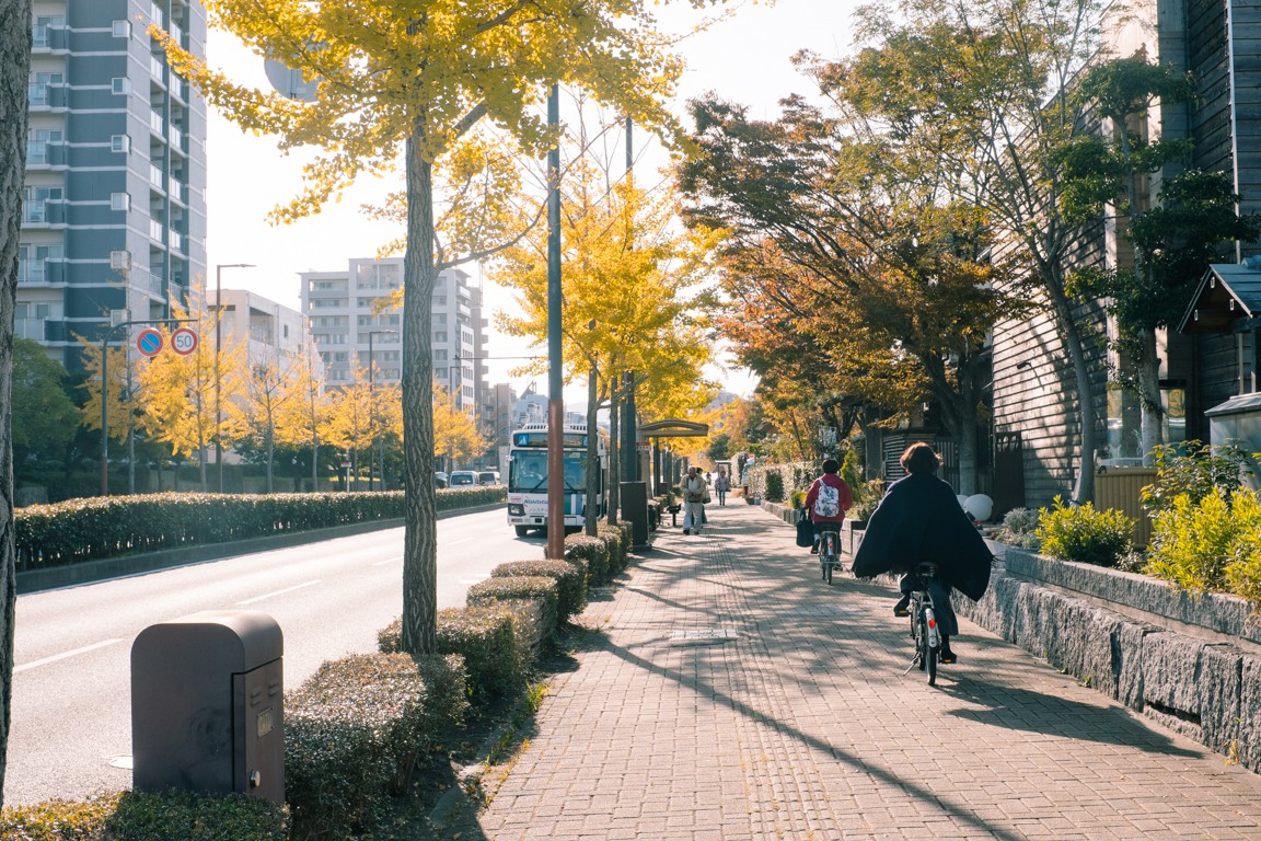 Nhat Ban - xu so cua nhung chiec xe dap hinh anh 46