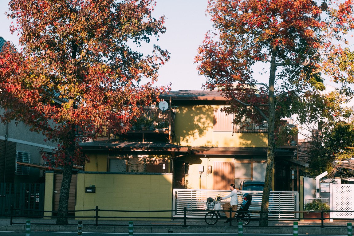 Nhat Ban - xu so cua nhung chiec xe dap hinh anh 49