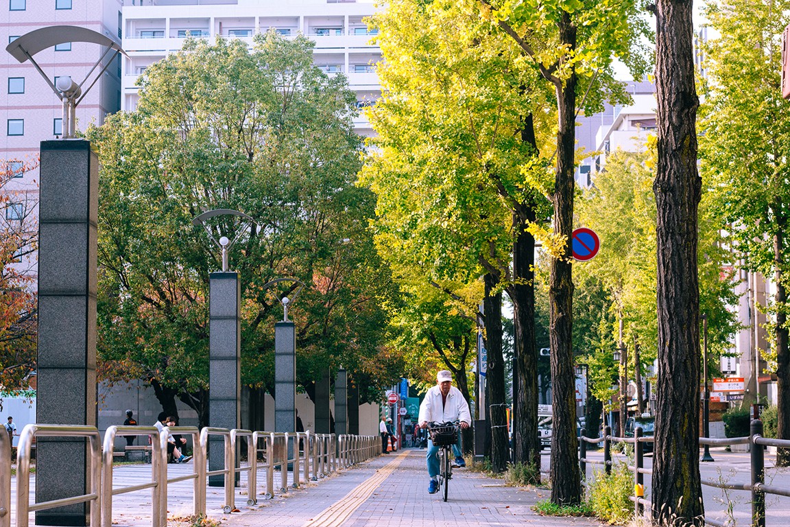 Nhat Ban - xu so cua nhung chiec xe dap hinh anh 6