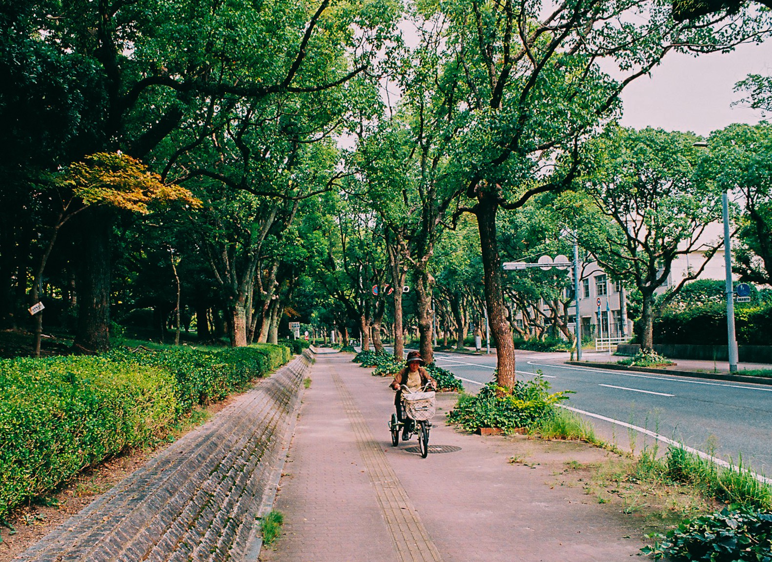 Nhat Ban - xu so cua nhung chiec xe dap hinh anh 39