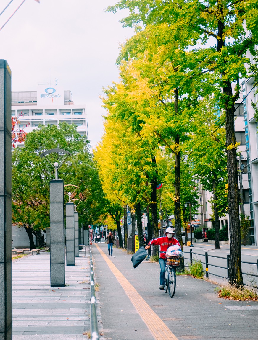 Nhat Ban - xu so cua nhung chiec xe dap hinh anh 15