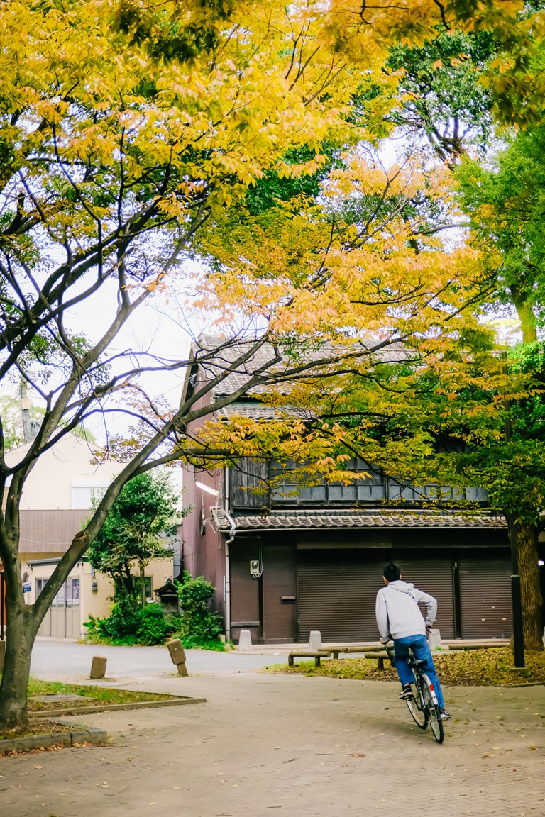 Nhat Ban - xu so cua nhung chiec xe dap hinh anh 16