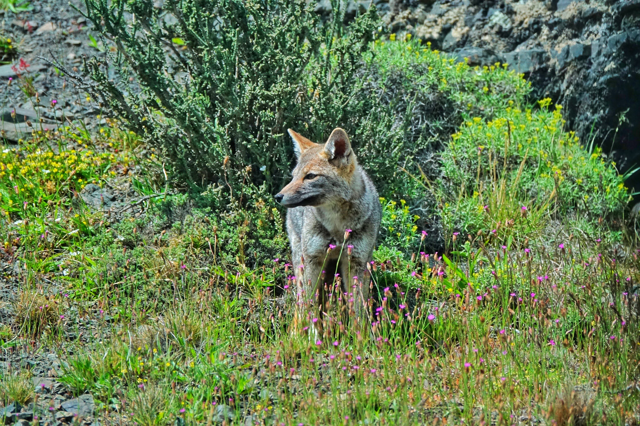 Tuyet canh o noi tan cung Trai Dat hinh anh 18 19.jpg