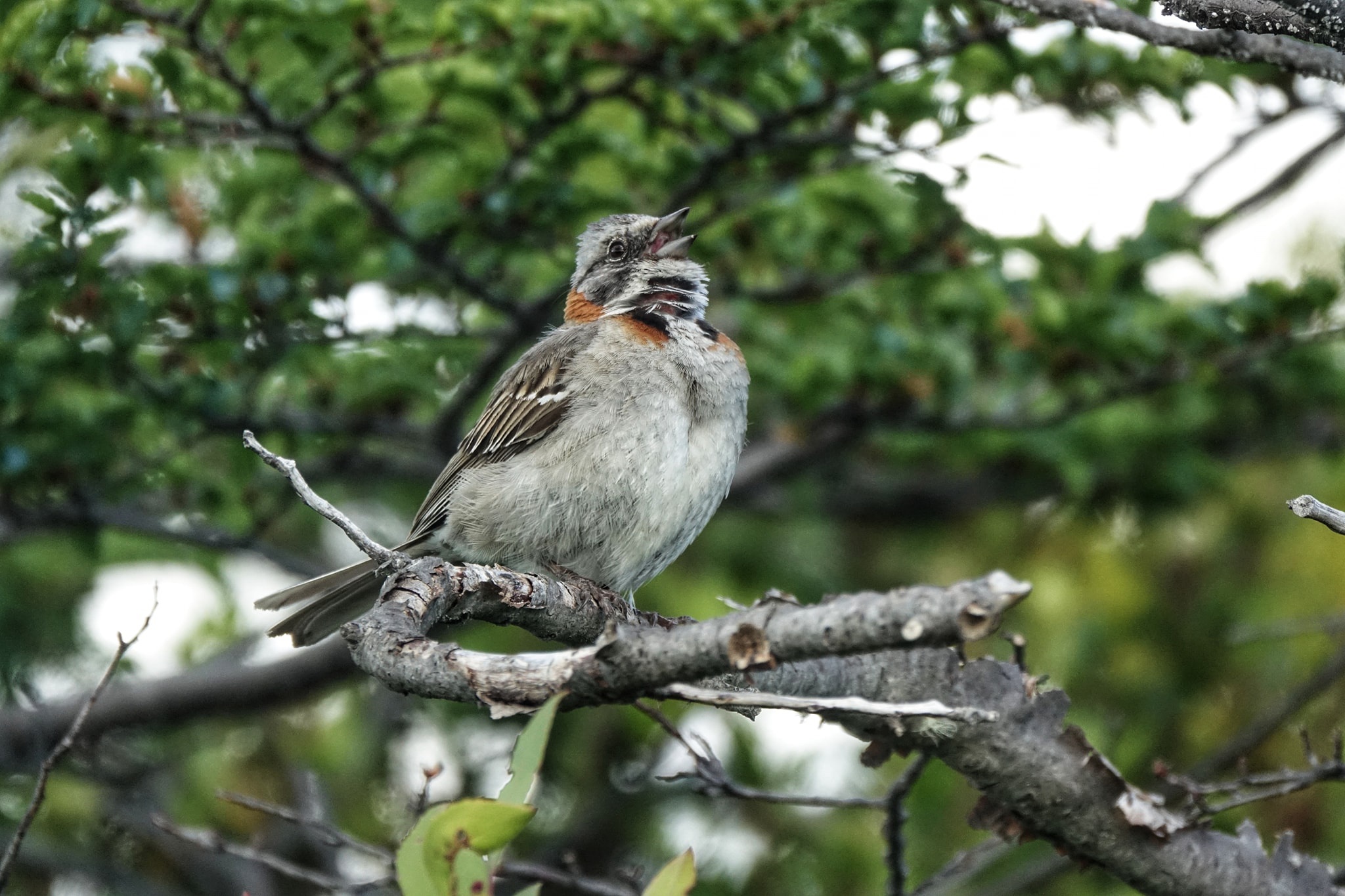 Tuyet canh o noi tan cung Trai Dat hinh anh 19 21.jpg