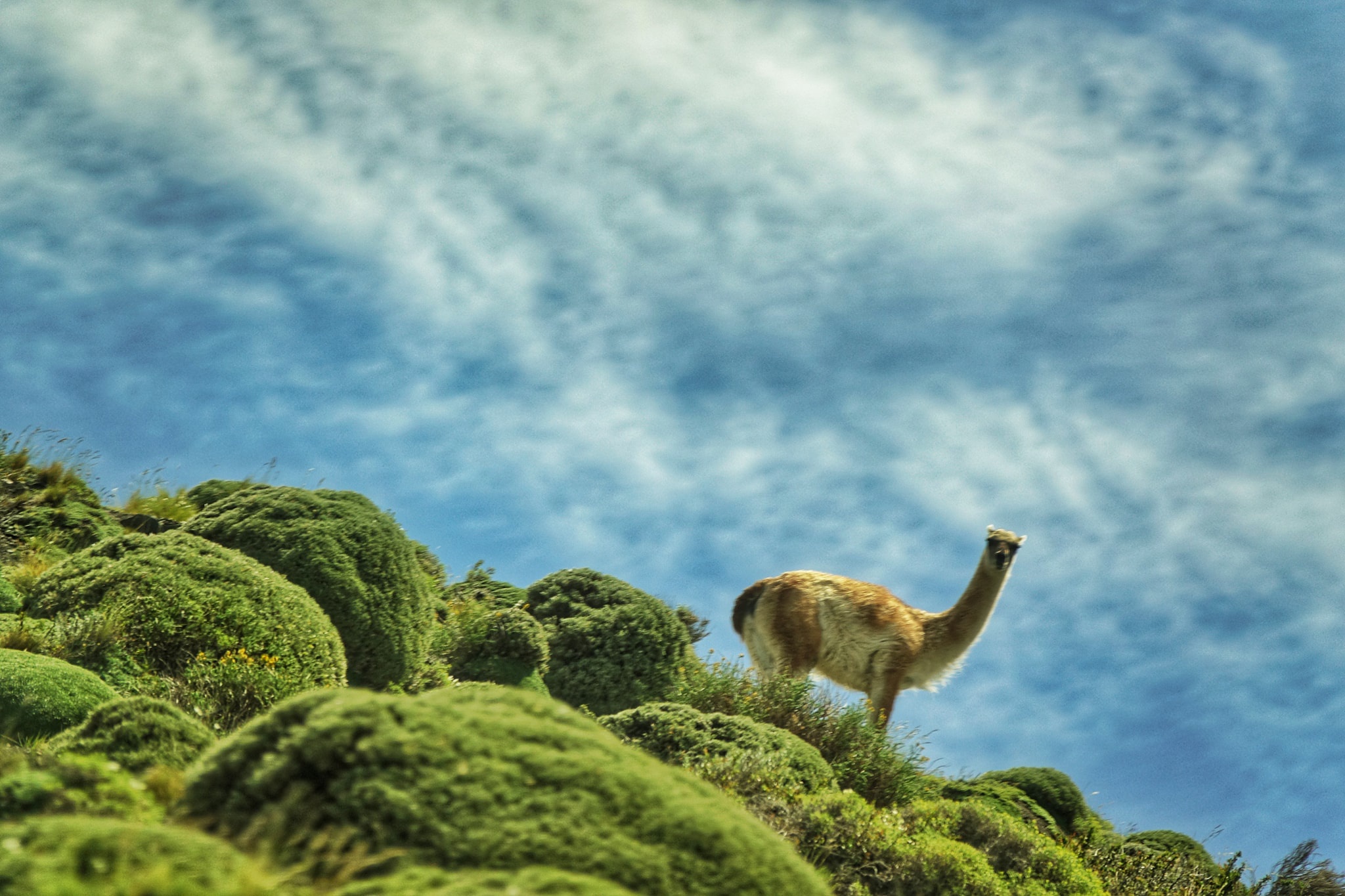 Tuyet canh o noi tan cung Trai Dat hinh anh 9 5.jpg