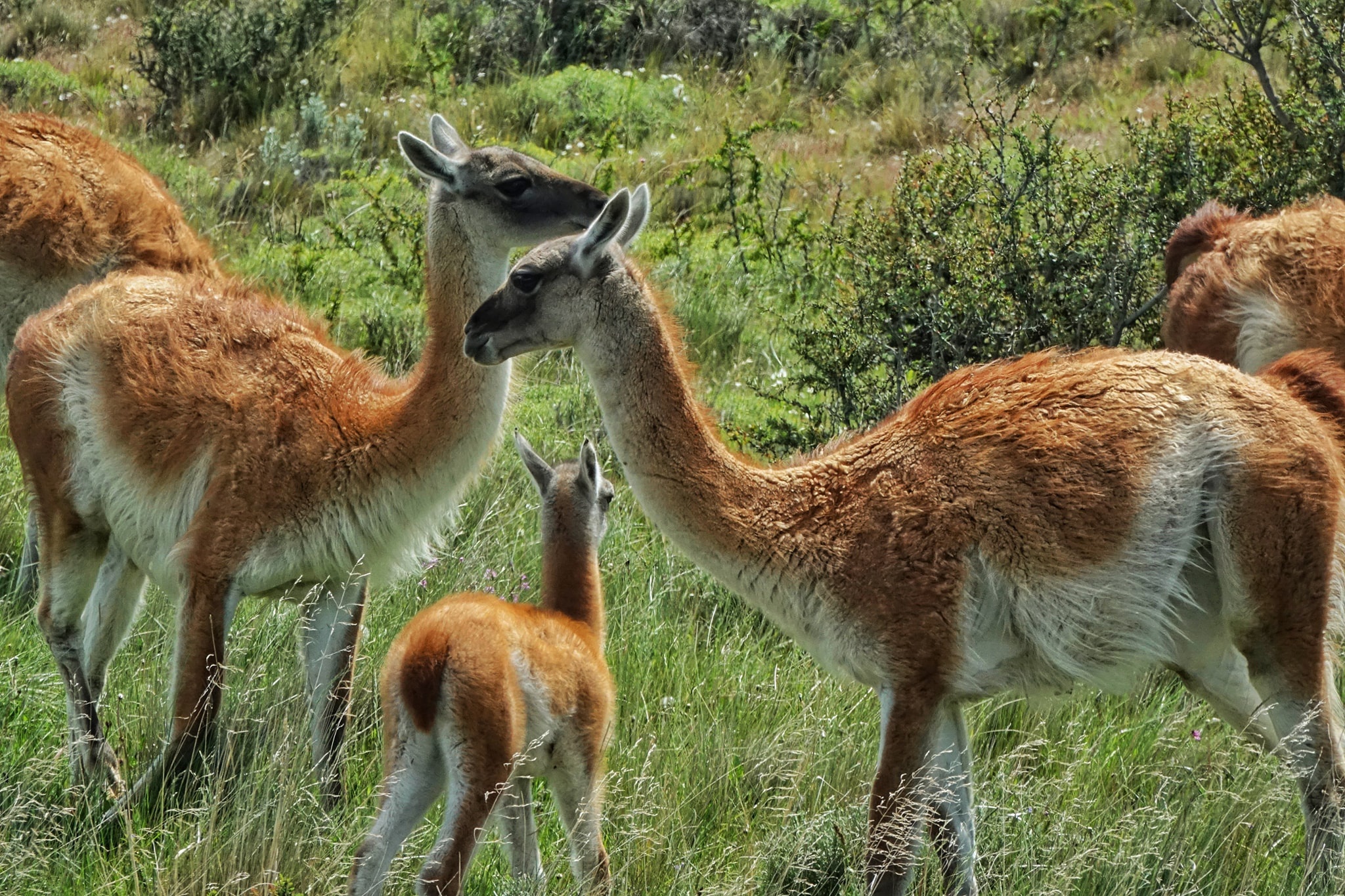 Tuyet canh o noi tan cung Trai Dat hinh anh 14 6.jpg