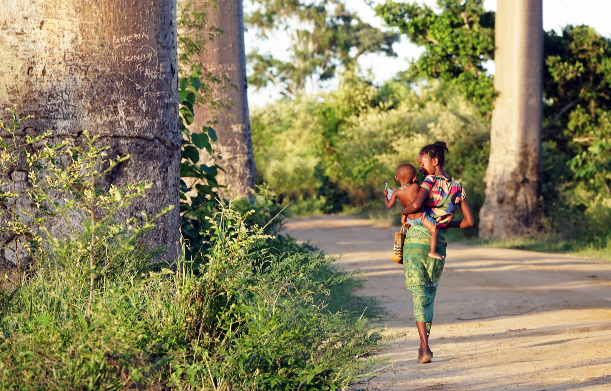 Dai lo cay moc nguoc 3.000 nam tuoi tua canh dep o hanh tinh khac hinh anh 21 16.jpg