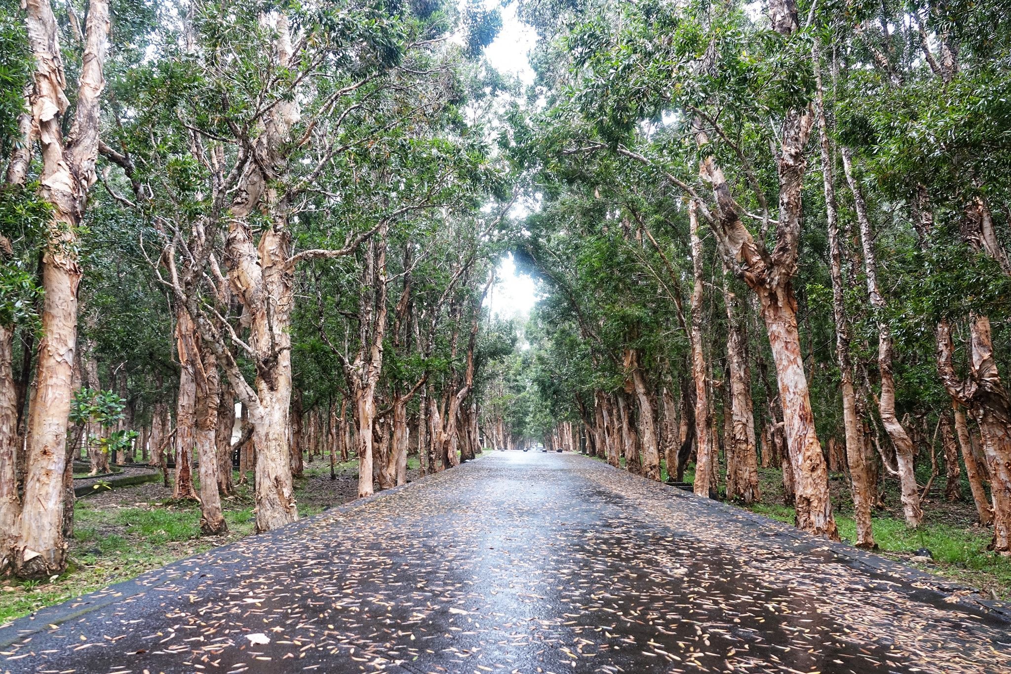 Ve dep nguyen so cua quoc dao ngoai khoi An Do Duong hinh anh 8 15.jpg