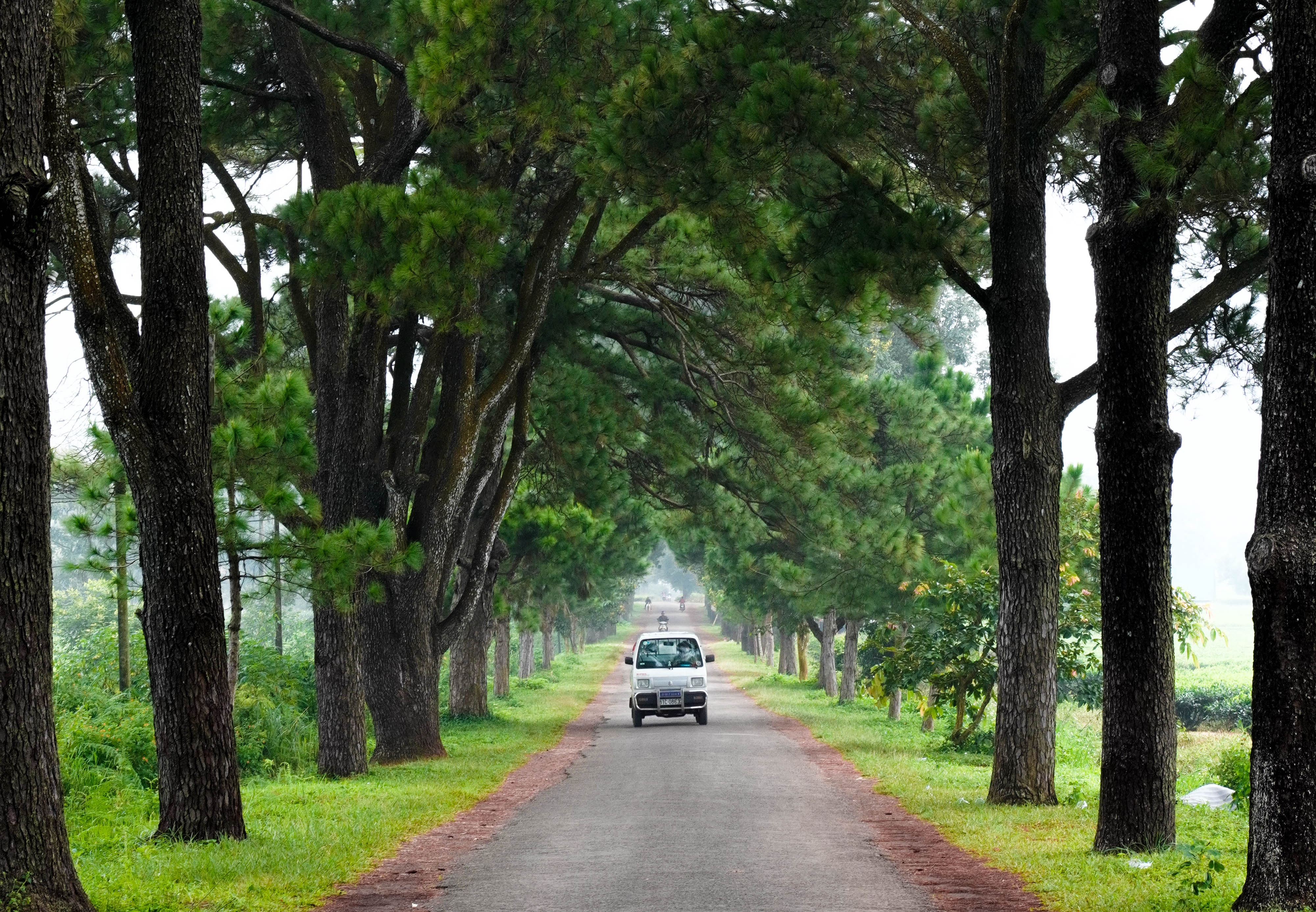 check-in Gia Lai anh 1