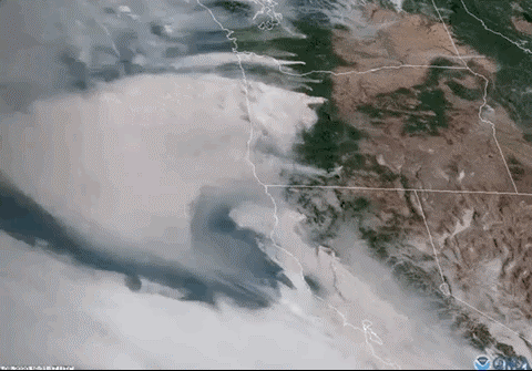 Su kien noi bat 2020 nhin tu khong gian anh 18