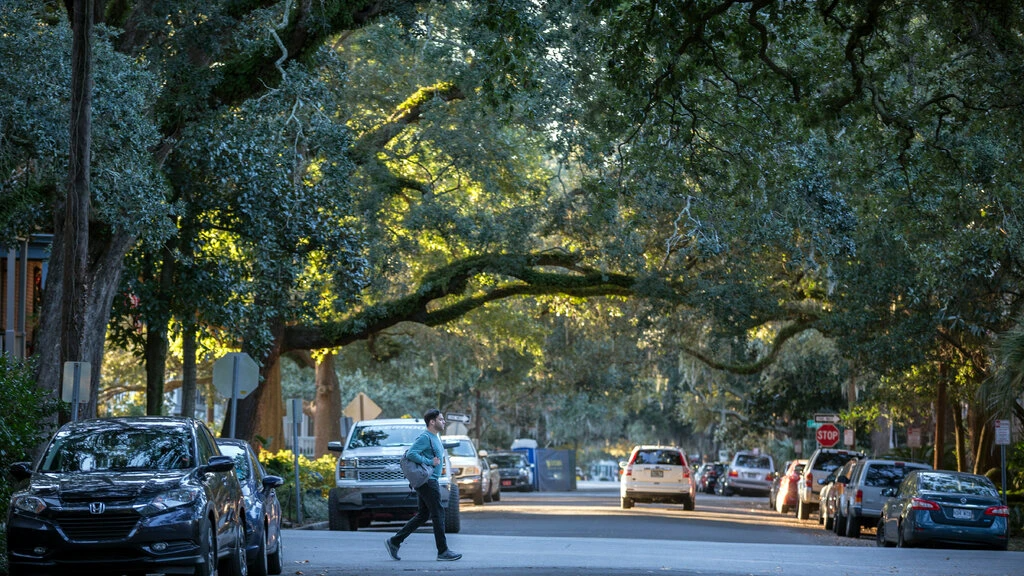 Di cu khoi Thung lung Silicon anh 4