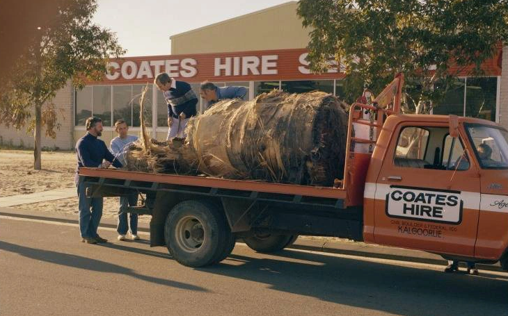 Ten lua roi tu do anh 2