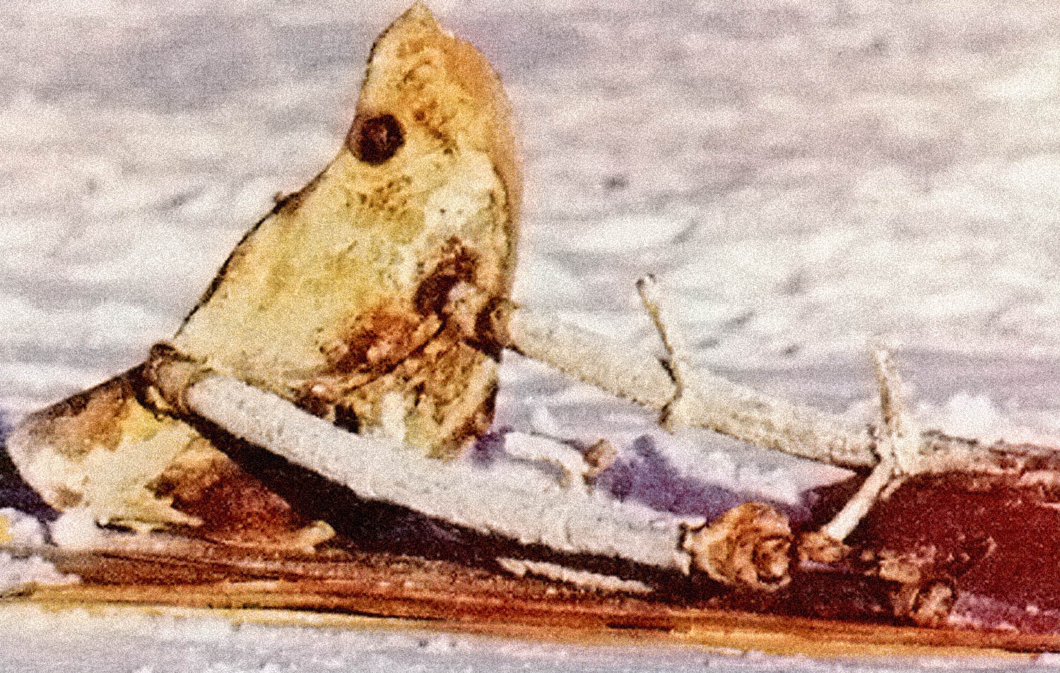 Ten lua roi tu do anh 8