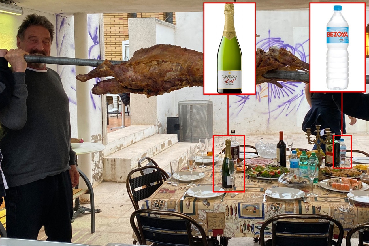 john mcafee tu tu anh 1