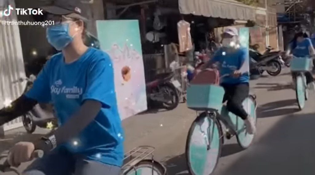 cay view son tung mtp anh 3