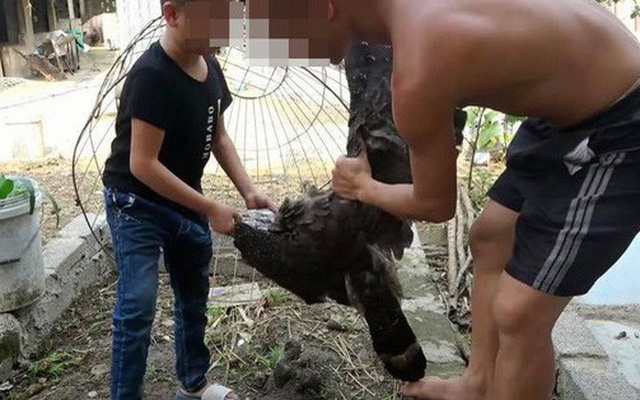 kiem duyet noi dung YouTube anh 2