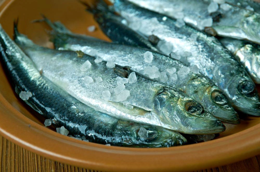 Hai cau nhoi xac chim va nhung mon an boc mui nhat the gioi hinh anh 4