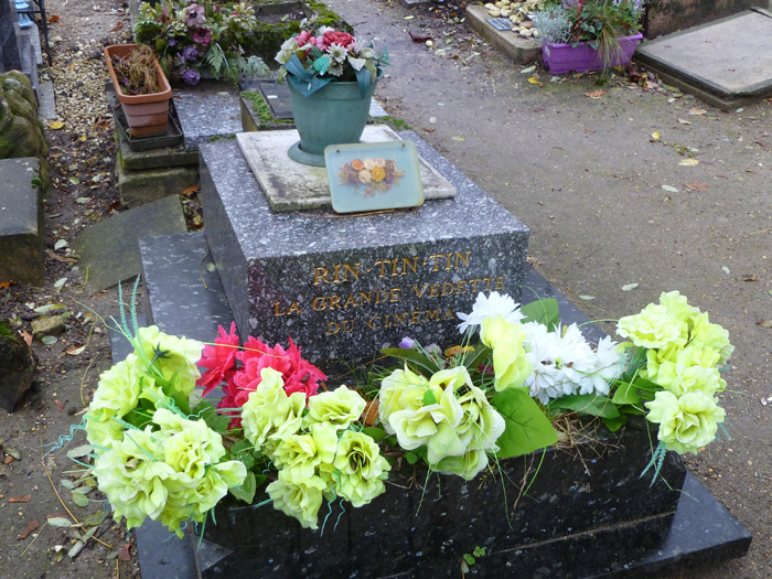 Nghia trang minh chung tinh ban vuot cai chet giua nguoi va thu cung hinh anh 5