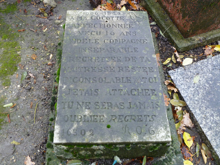 Nghia trang minh chung tinh ban vuot cai chet giua nguoi va thu cung hinh anh 6