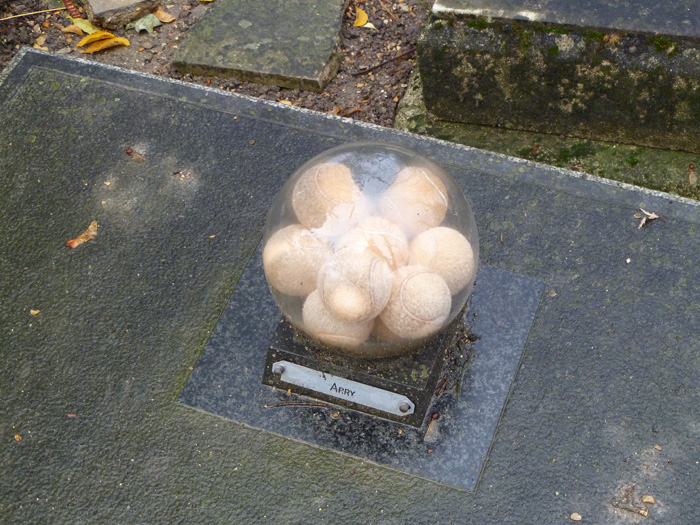 Nghia trang minh chung tinh ban vuot cai chet giua nguoi va thu cung hinh anh 11