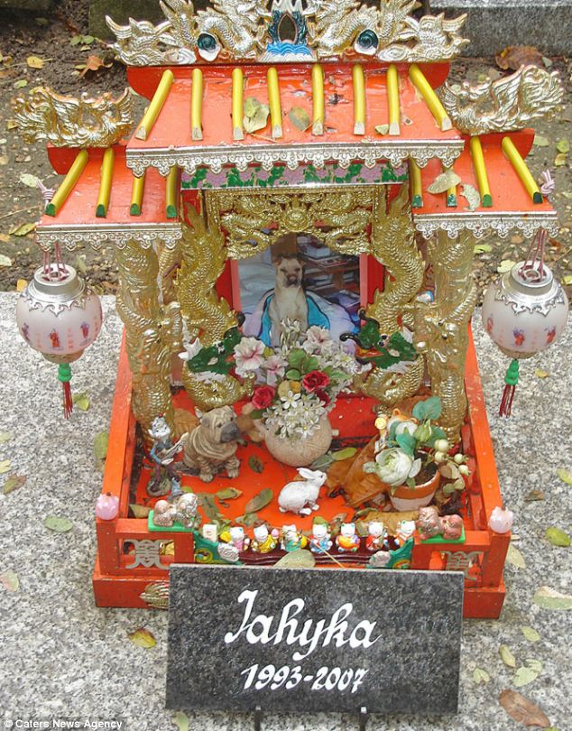 Nghia trang minh chung tinh ban vuot cai chet giua nguoi va thu cung hinh anh 13