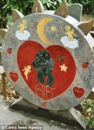 Nghia trang minh chung tinh ban vuot cai chet giua nguoi va thu cung hinh anh 12