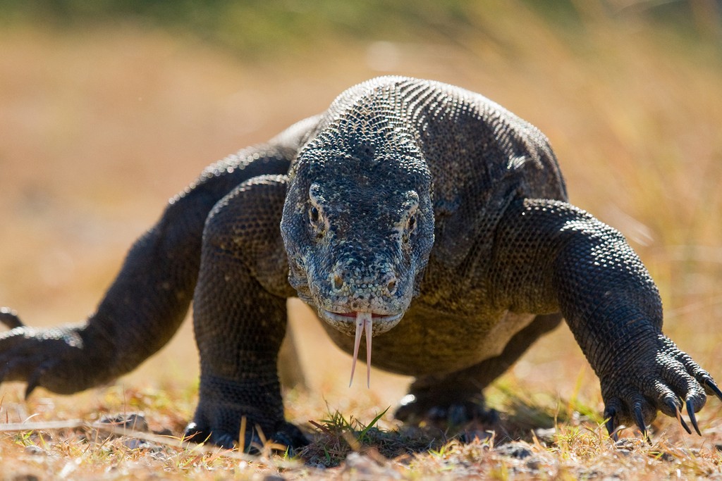 Pho ca phe duong tau va nhung dia diem khon kho vi khach du lich hinh anh 2