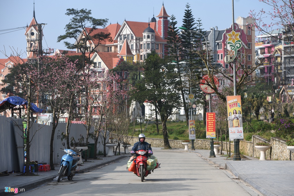 Khu du lich Tam Dao vang ve la thuong giua dich Covid-19 hinh anh 9 DSC_8066_zing.jpg