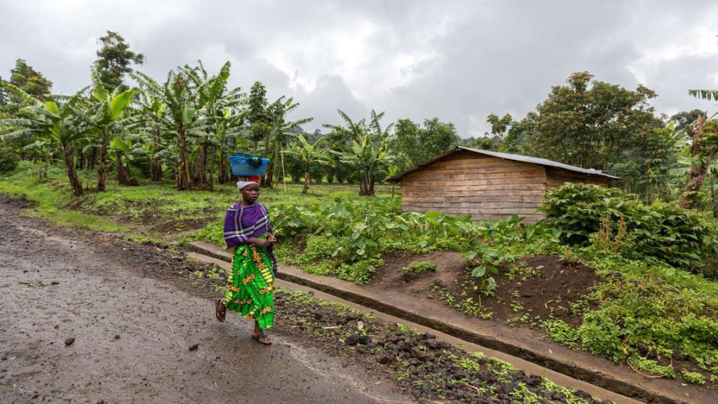 Nhung quoc gia lai xe nguy hiem nhat the gioi: Thai Lan dung thu 2 hinh anh 7