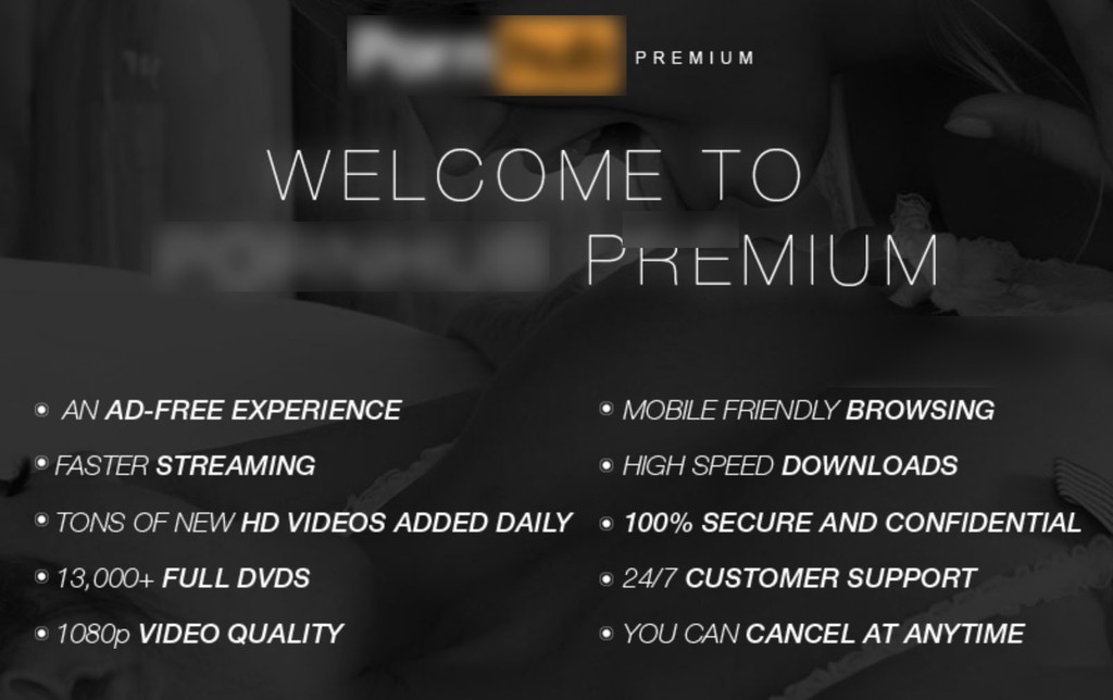 Web khieu dam kiem tien bang cach nao? hinh anh 2