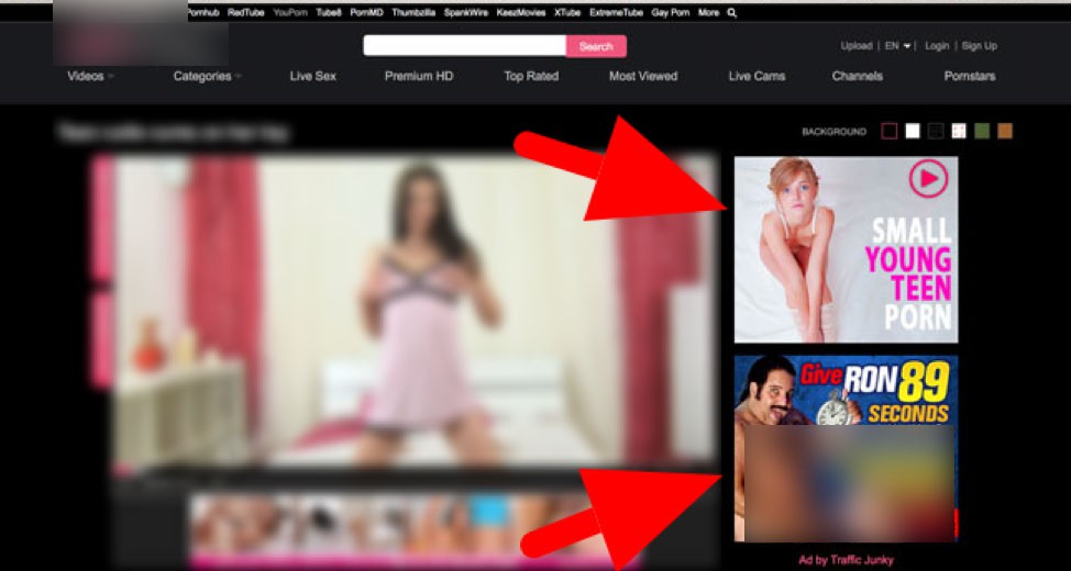 Web khieu dam kiem tien bang cach nao? hinh anh 4