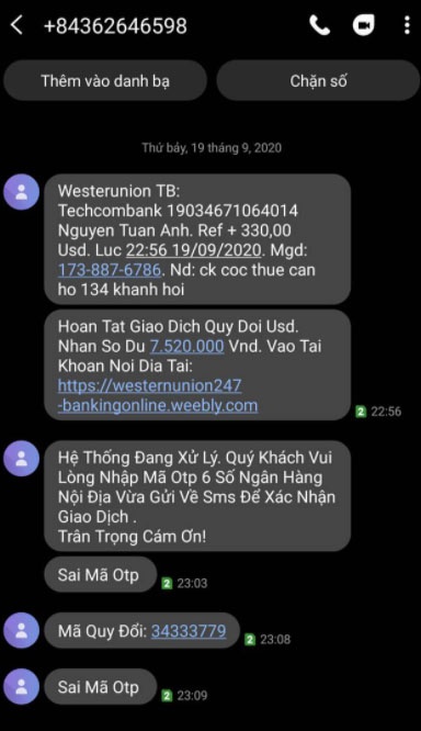 thu doan lua dao western union anh 3
