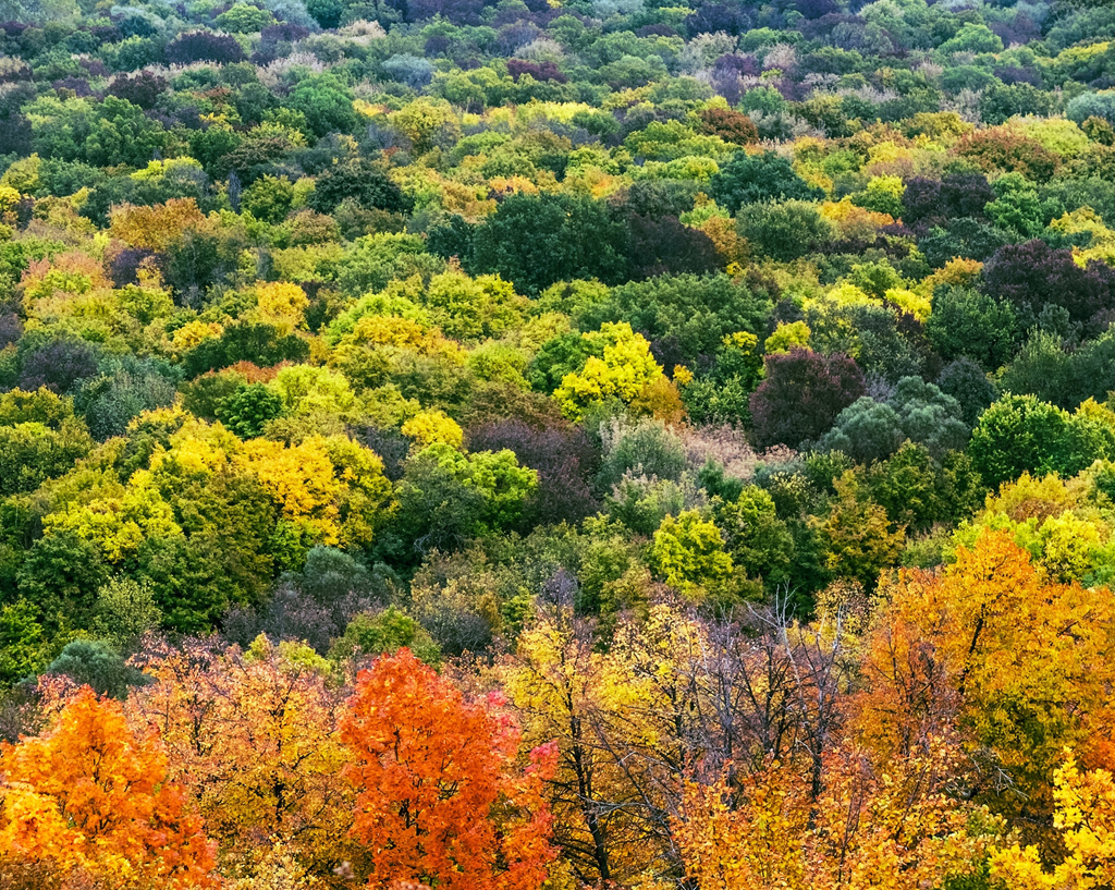 Nuoc Nga do vang, dep nao long khi dat troi sang thu hinh anh 8