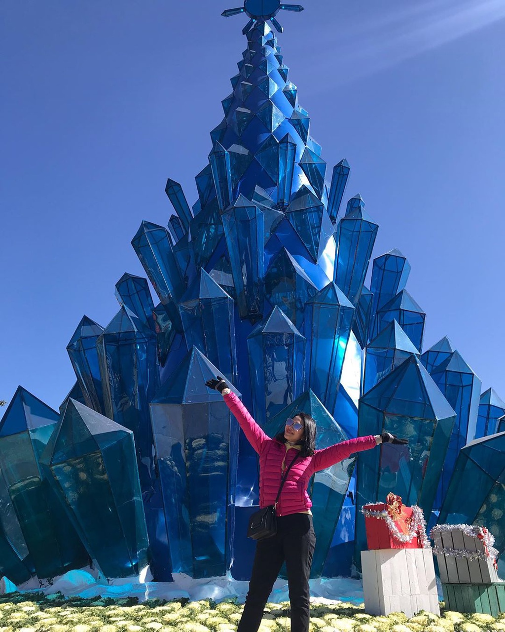 Nhung cay thong doc dao, lap ky luc Viet Nam qua cac mua Noel hinh anh 1 1_wipoo.jpg