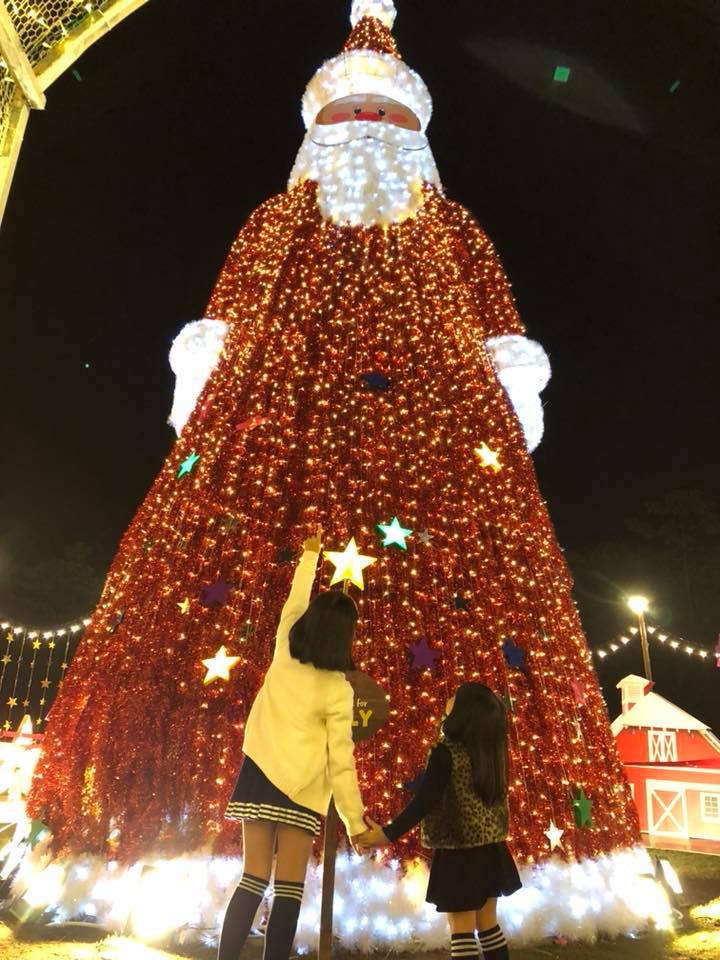 Nhung cay thong doc dao, lap ky luc Viet Nam qua cac mua Noel hinh anh 11 Cuong_Nguyen,_My_Phuong.jpg