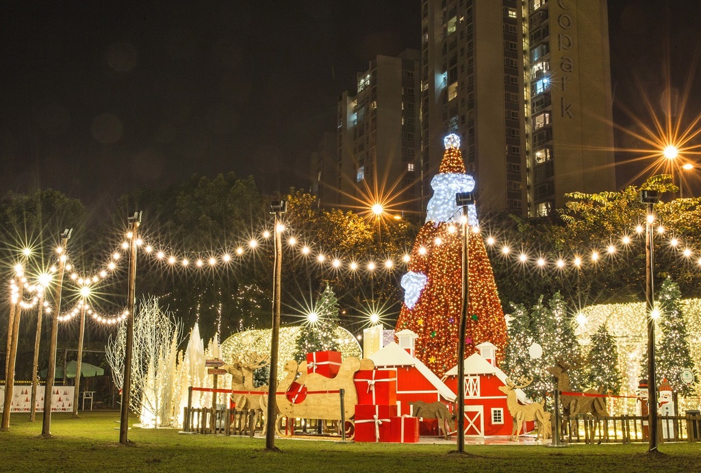 Nhung cay thong doc dao, lap ky luc Viet Nam qua cac mua Noel hinh anh 12 Cuong_Nguyen,_My_Phuong2.jpg