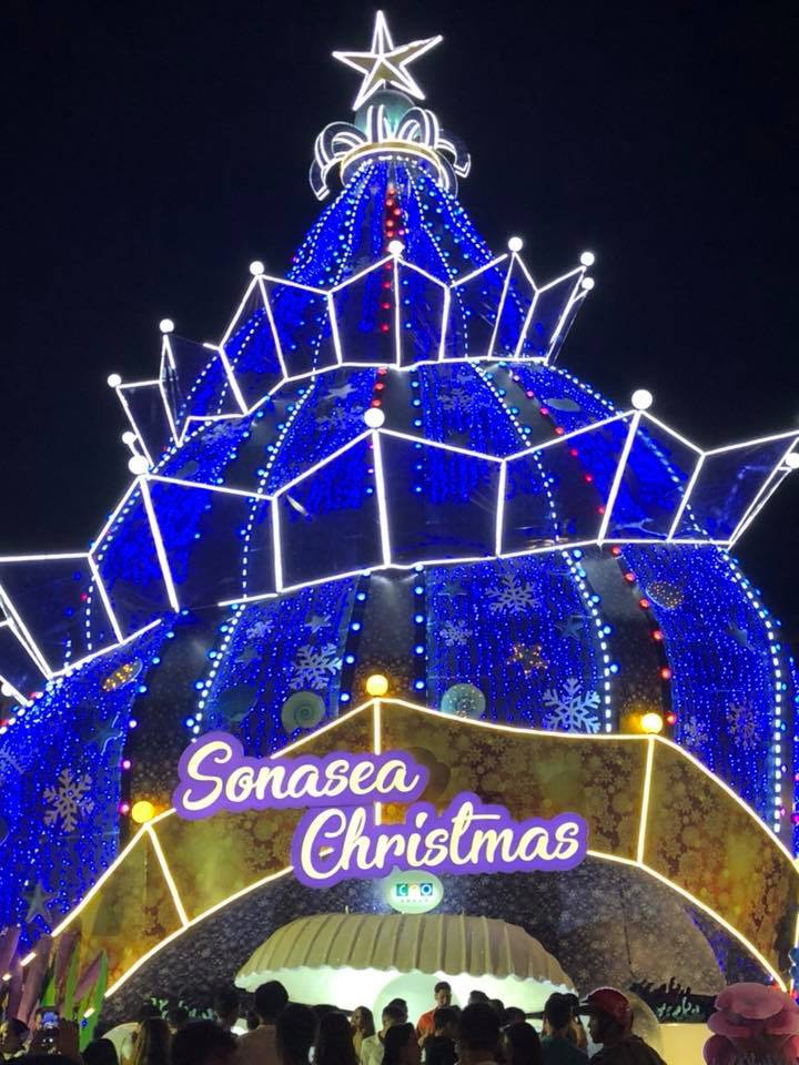 Nhung cay thong doc dao, lap ky luc Viet Nam qua cac mua Noel hinh anh 14 Phan_Thi_My_Dung.jpg