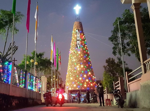 Nhung cay thong doc dao, lap ky luc Viet Nam qua cac mua Noel hinh anh 10 pham_hoa_5.jpg