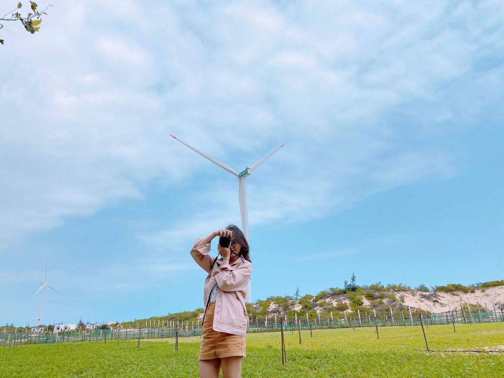 canh dong quat gio anh 3