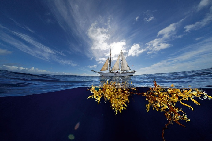 Vung bien khong bo va bi an ve loat xac tau vo chu troi noi hinh anh 7