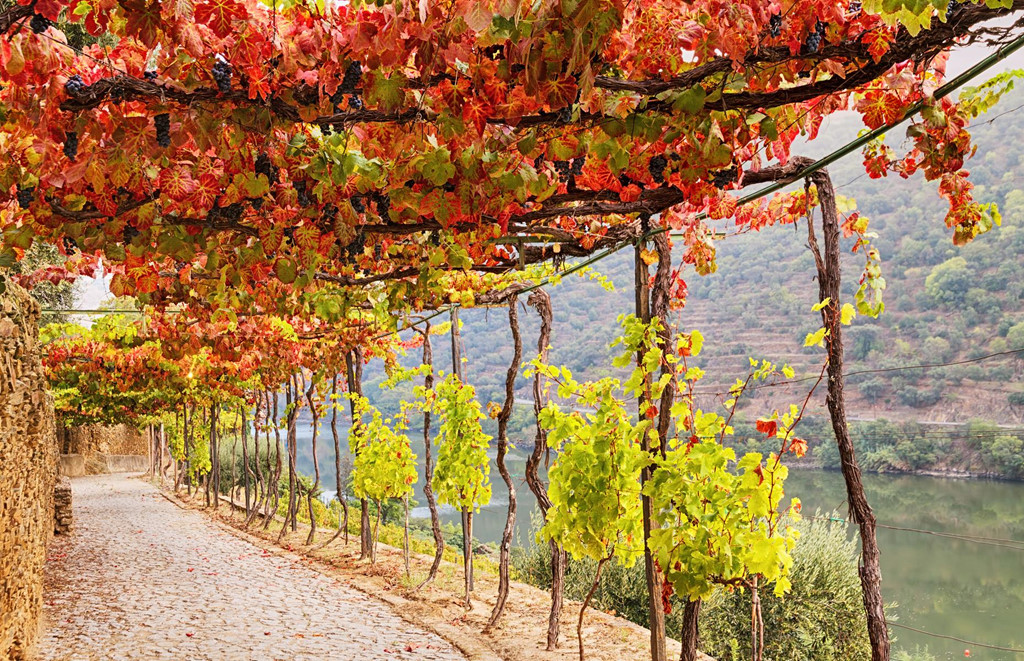 7 vung dat thay ao mua thu dep tua xu than tien hinh anh 4