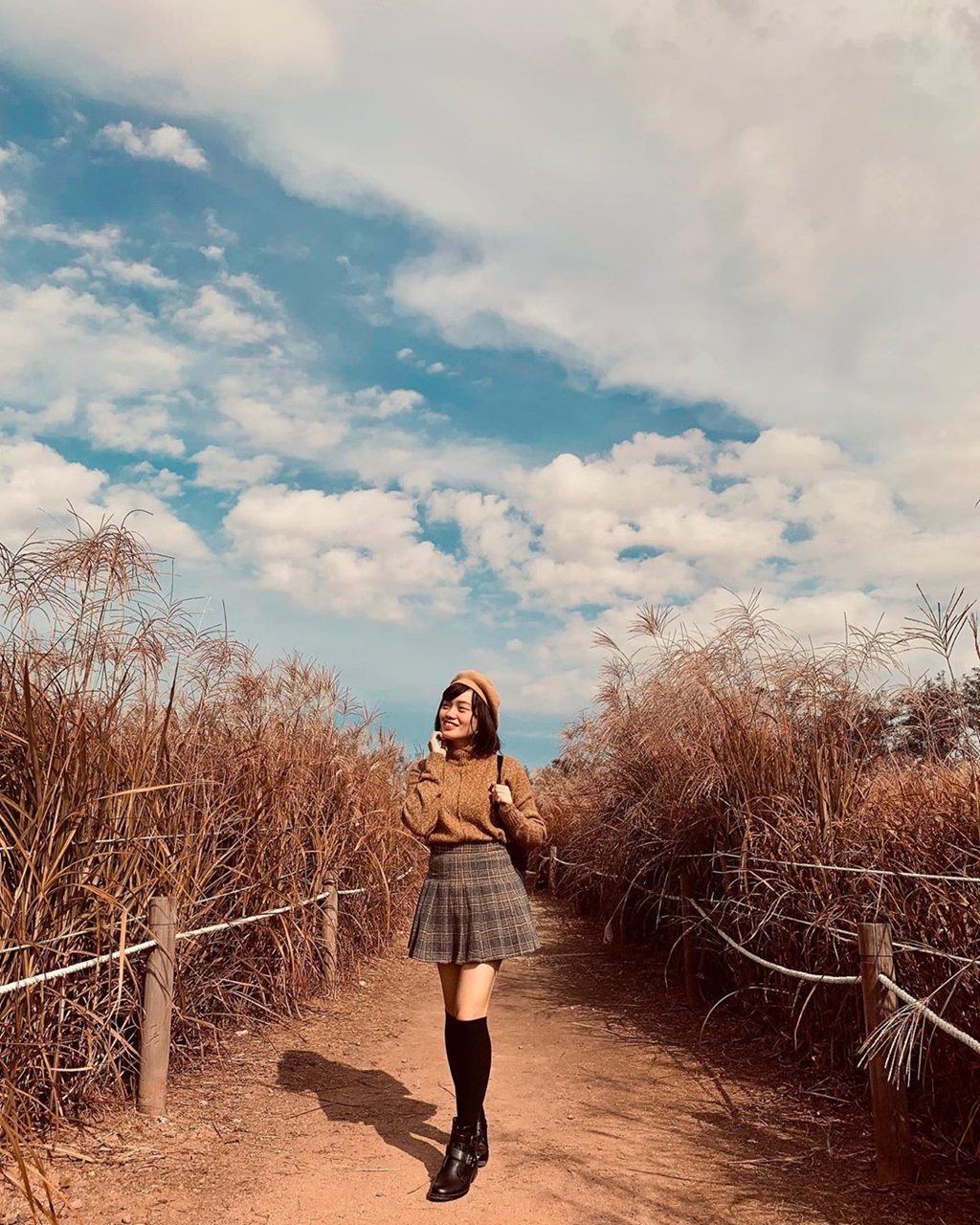 6 ly do de it nhat mot lan don mua thu o Han Quoc hinh anh 7