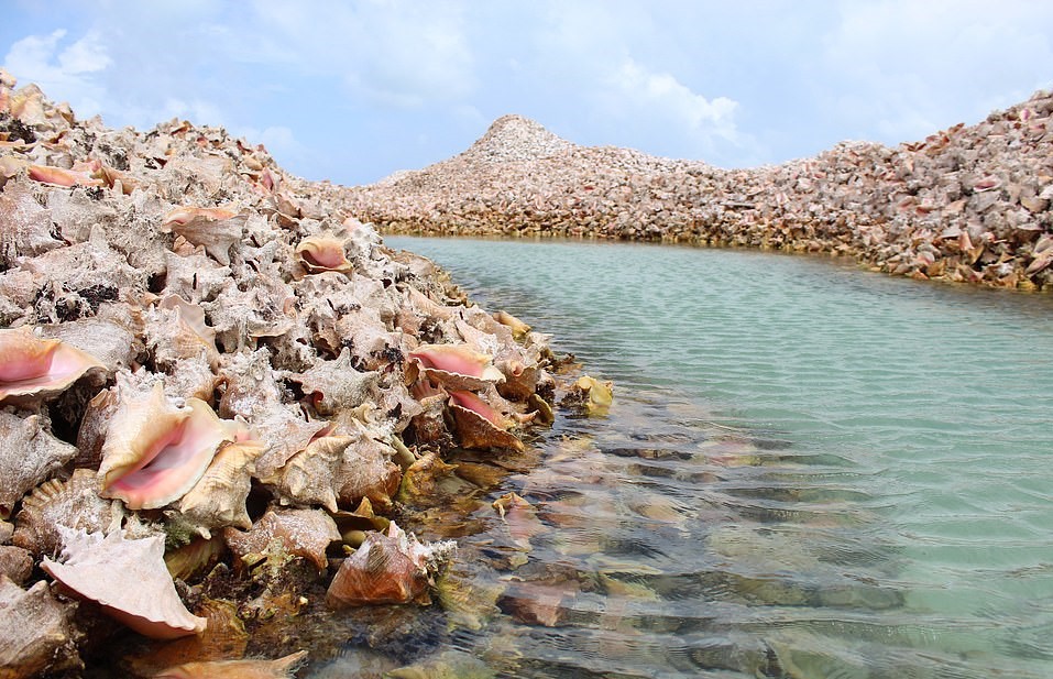Hon dao duoc tao nen tu hang trieu vo oc xa cu hinh anh 4