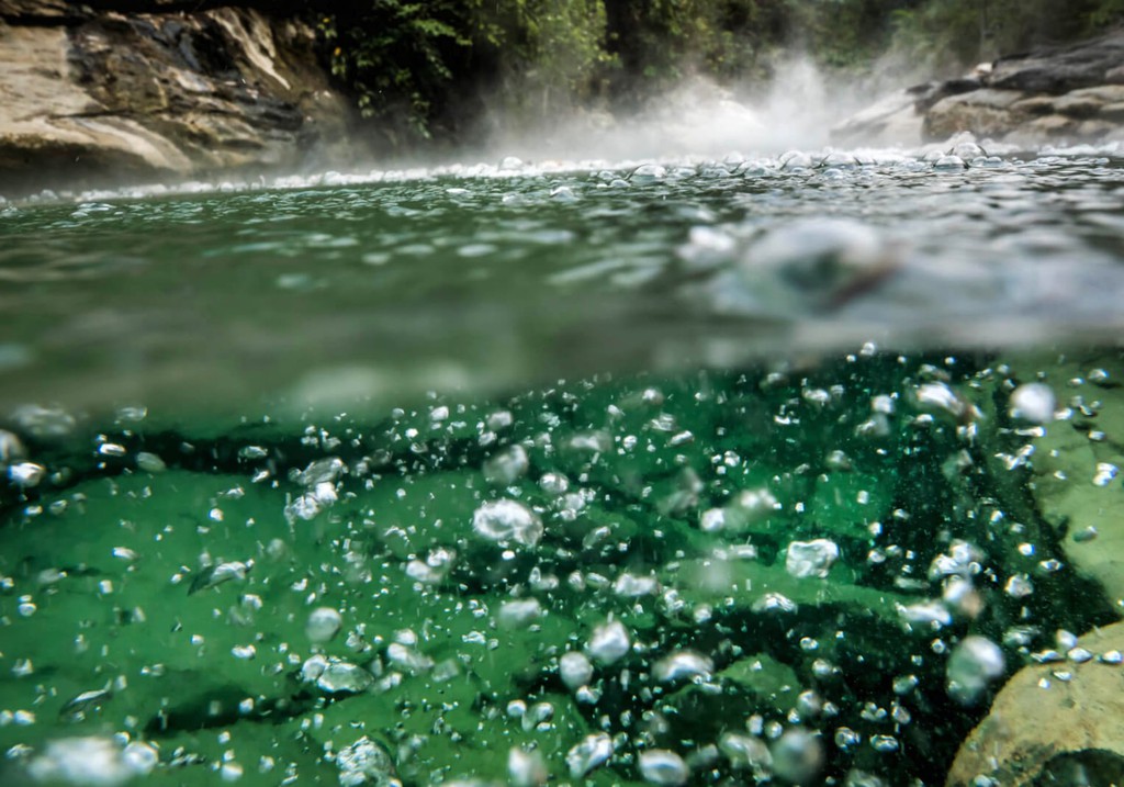 Dong song luoc chin moi sinh vat roi xuong hinh anh 6