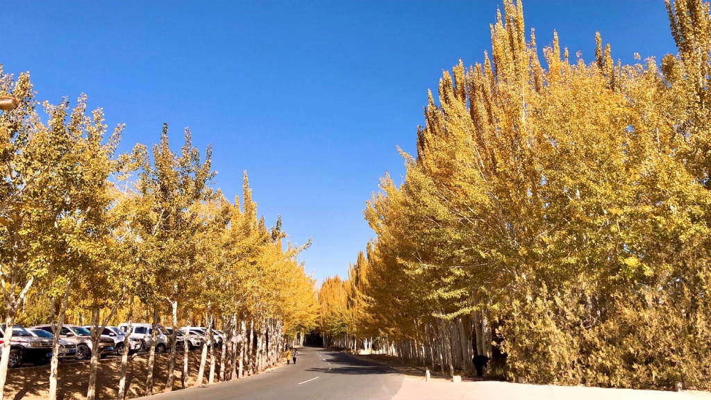 Men Con duong to lua, tim vung dat san sinh loat my nu hinh anh 8