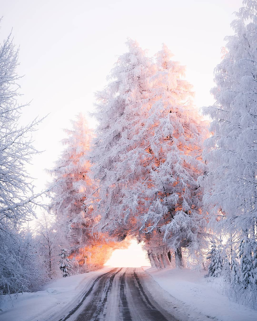 Bang qua dai lo dan toi thien duong mua dong hinh anh 1